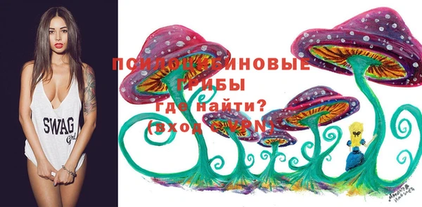 тгк Краснотурьинск