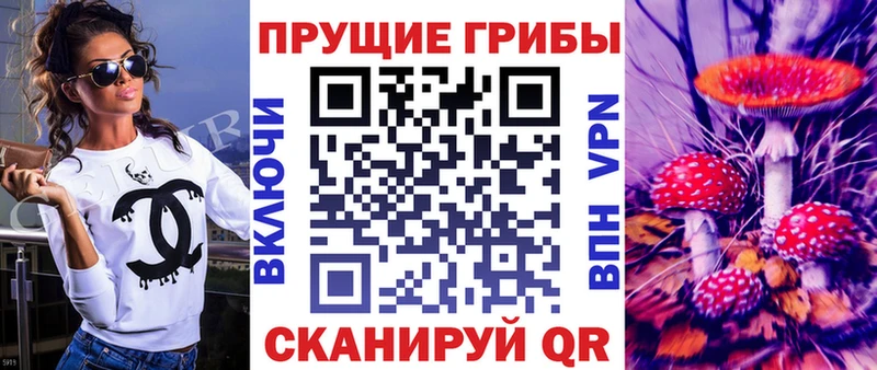 Купить где  Алупка  Псилоцибиновые грибы Psilocybine cubensis 