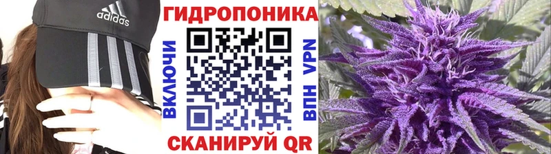Конопля конопля  Купить закладки  Алупка 